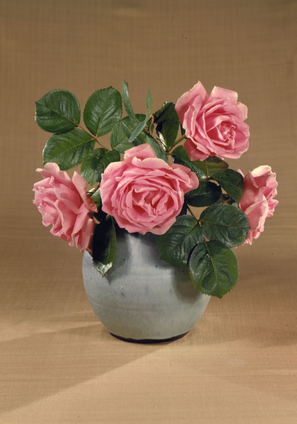 Vase mit rosafarbenen Rosen / Foto à 