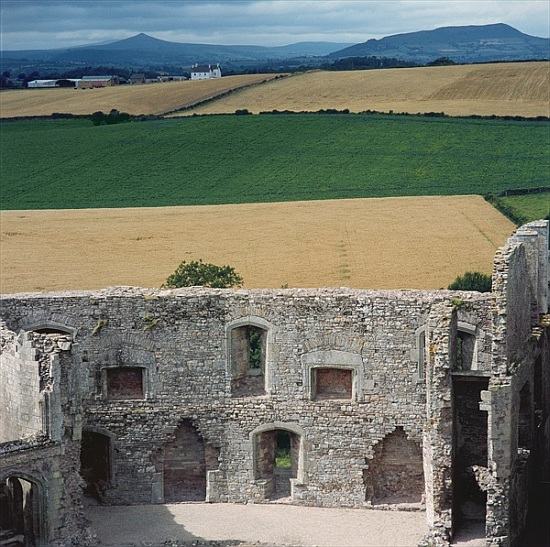 View from the Keep, Raglan Castle à 