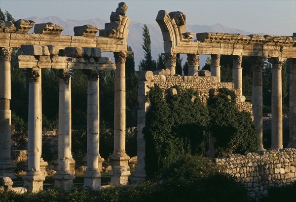 View of a colonnade (colour photo)  à 
