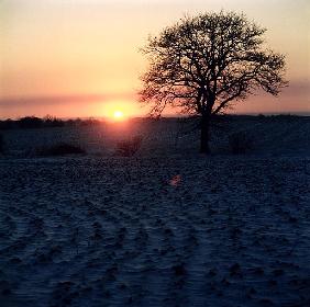 Winter Sunset, Essex