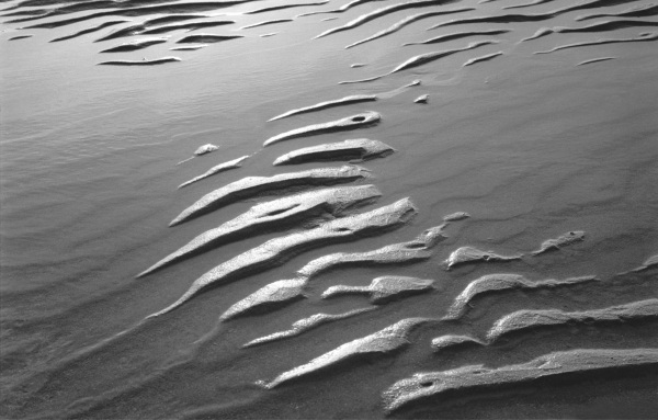 Wet sand, Porbandar (b/w photo)  à 