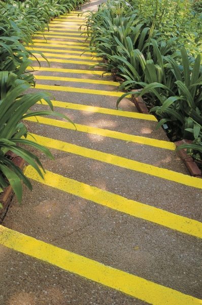 Winding steps fluorescent yellow stripes and bordering lily leaves bend gracefully, Phuket (photo)  à 