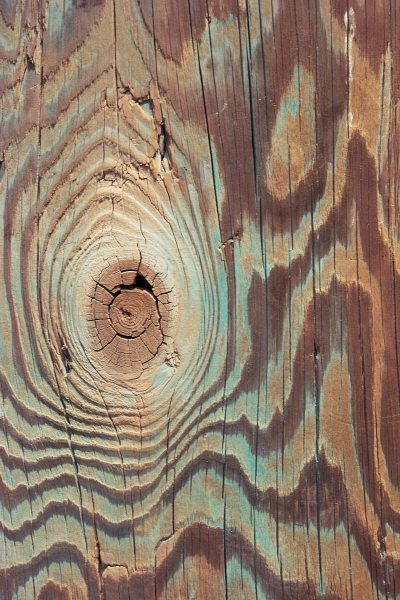 Wood texture with copper sulphate painted to preserve wood (photo)  à 