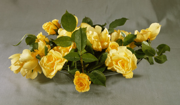 Yellow roses in a vase / Photo à 