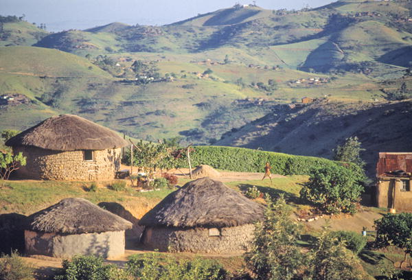Zulu Village, near Eshowe (photo)  à 