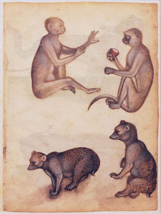 Two monkeys and two bears à 