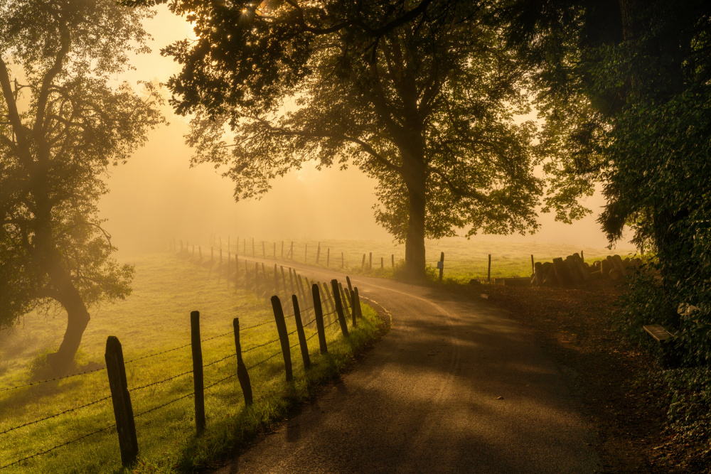 Morning walk à Norbert Maier