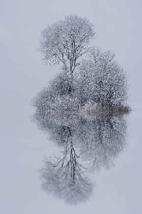 winter stillness