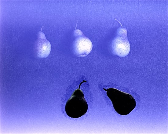Blue Pears (after Wm. Scott) 2005 (colour photo)  à Norman  Hollands