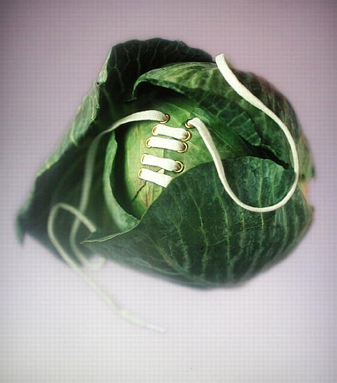 Cabbage with laces, 2000 (colour photo)  à Norman  Hollands