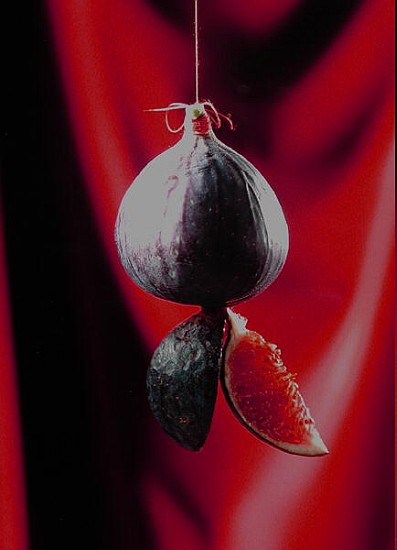 Fig on a string with segments, 2003 (colour photo)  à Norman  Hollands