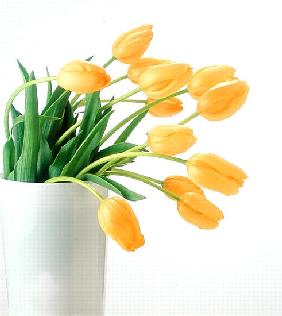 Yellow tulips I, 1999 (colour photo) 