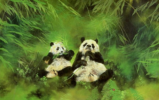 Pandas, 1998 (acrylic and pencil on canvas)  à Odile  Kidd