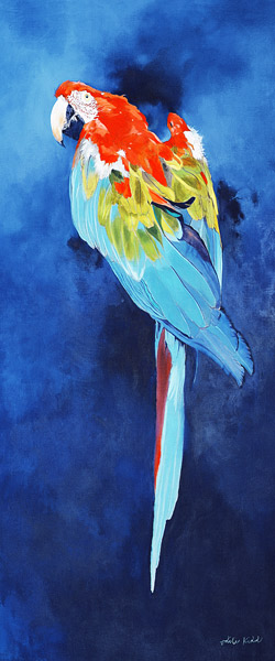 Red and Blue Macaw, 2002 (acrylic on linen)  à Odile  Kidd