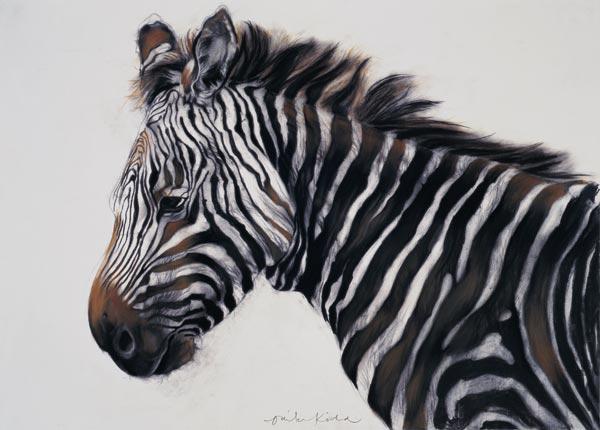 Zebra, 2002 (charcoal & chalk) 