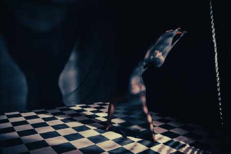 The shade of a checker board pion