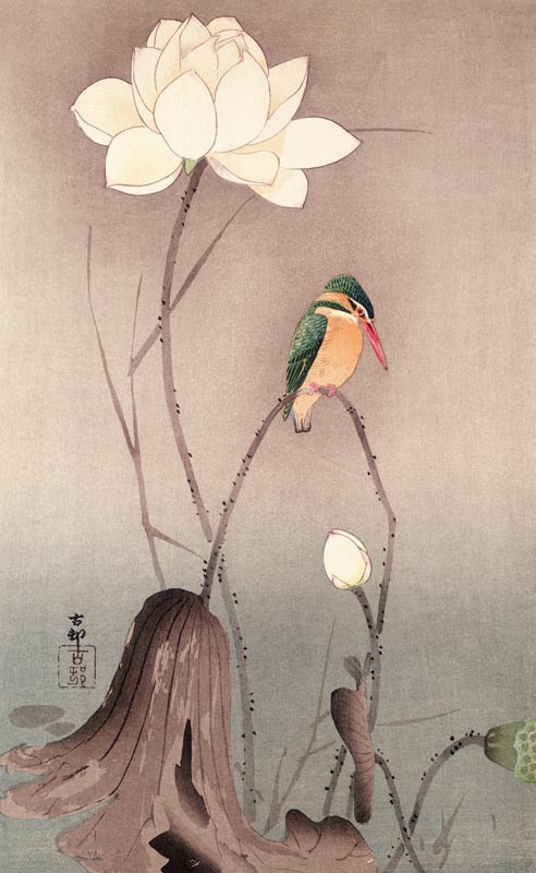 A Kingfisher and a lotus à Ohara Shôson