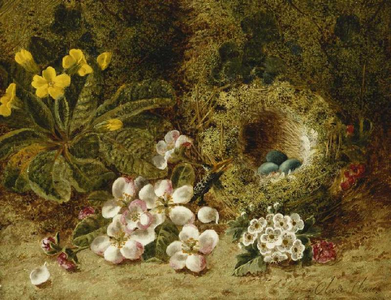 Apfelblüten, eine Primel und ein Vogelnest im Moos. à Oliver Clare