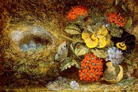 Flowers and Bird's Nest with Butterfly and Mushroom