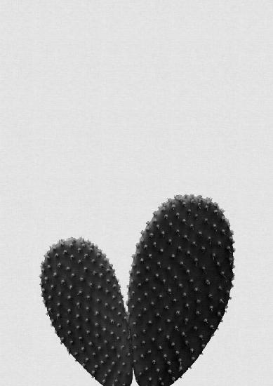 Heart Cactus Black & White