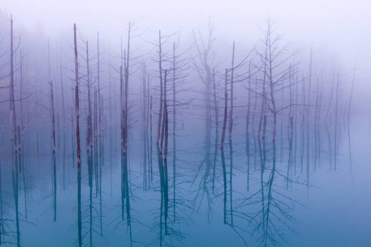 Misty Blue Pond à OSAMU ASAMI
