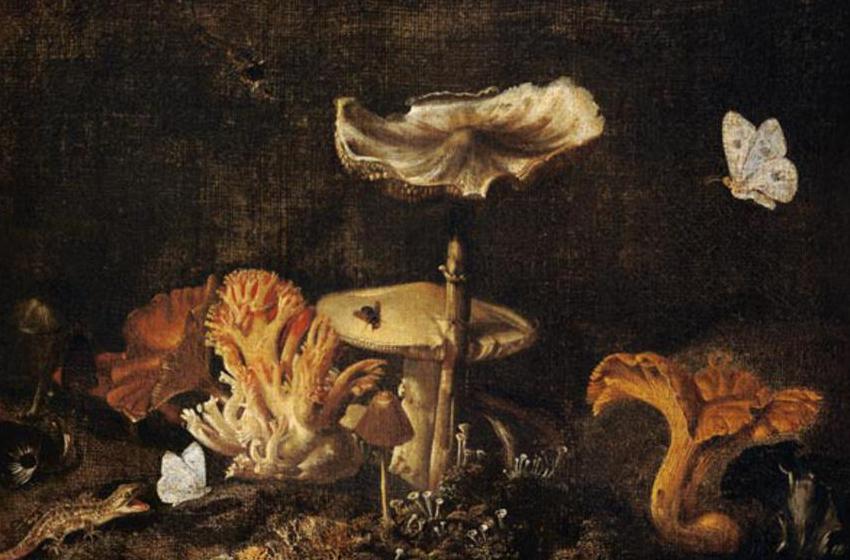 Otto Marseus van Schrieck