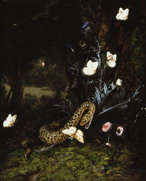 Grashüpfer, Schlange und Schmetterlinge bei einer Distel à Otto Marseus van Schrieck