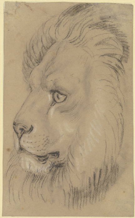 Lions head à Otto Speckter