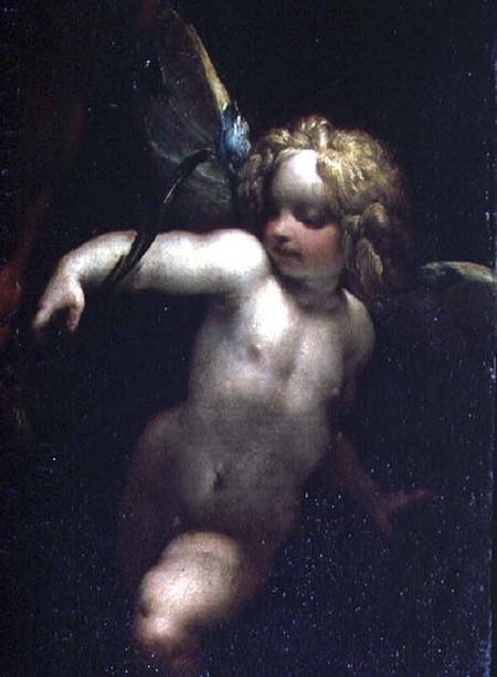 The Martyrdom of SS. Rufina and Seconda, known as the 'three-handed picture', detail of an angel, pa à P. Crespi