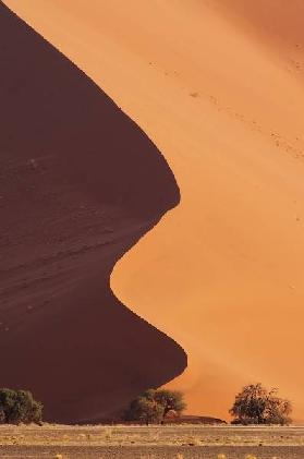 Dune de sable II