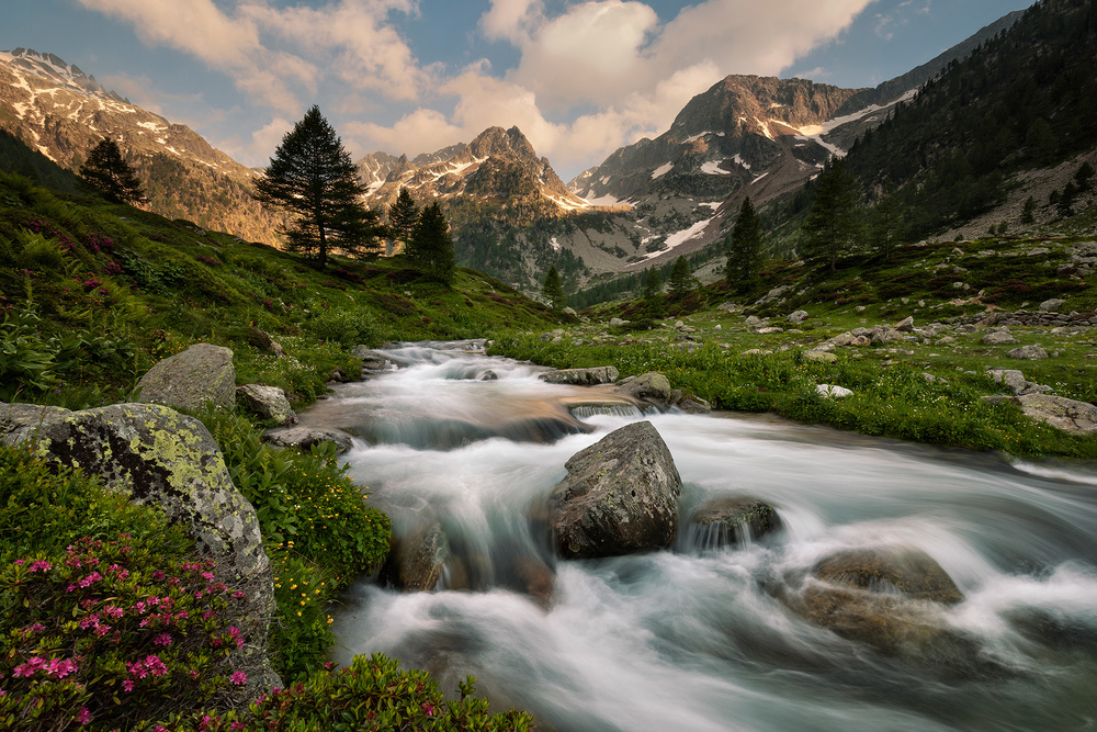 Maritime Alps Park à Paolo Bolla