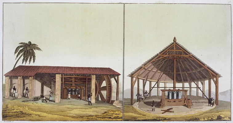 Slaves at work in the sugarmills, Antilles (colour engraving) à Paolo Fumagalli