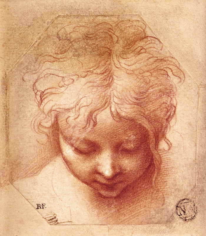 Study of a Head à Parmigianino (dit le Parmesan)