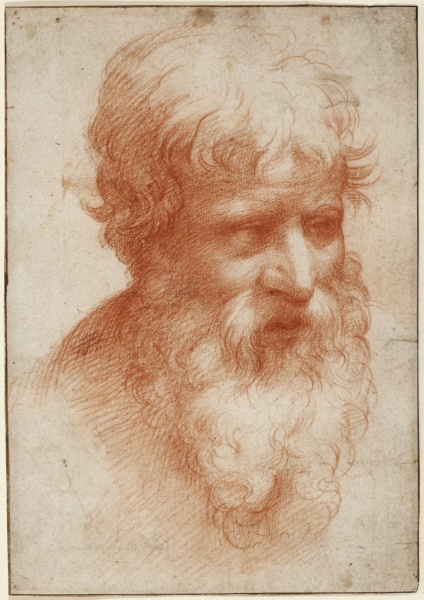 Head of a Bearded Man, looking right à Parmigianino (dit le Parmesan)