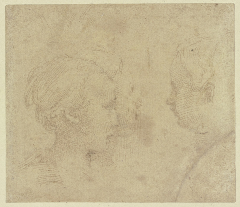 Three heads in profile à Parmigianino (dit le Parmesan)