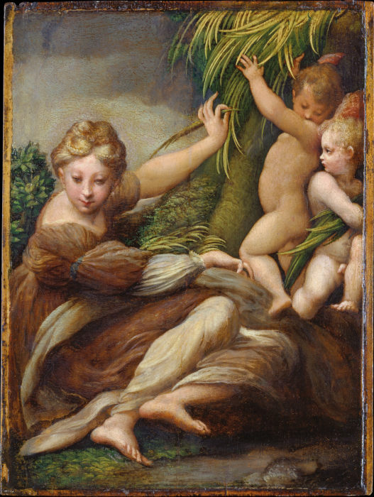 Female Martyr with Angels (Saint Catherine of Alexandria?) à Parmigianino (dit le Parmesan)