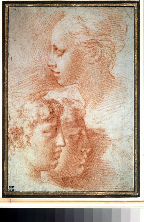 Study of the heads à Parmigianino (dit le Parmesan)