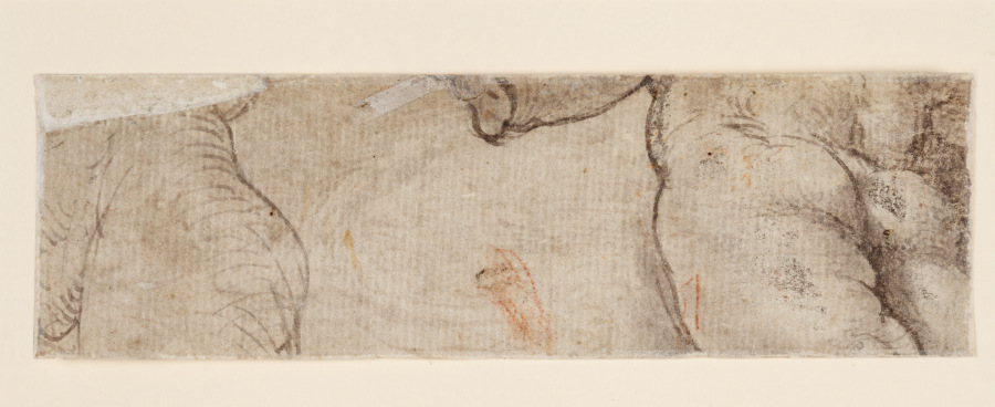 Zwei Puttenkörper (fragmentarisch) à Parmigianino (dit le Parmesan)