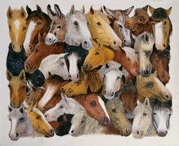 Horses Horses (oil on canvas)  à Pat  Scott