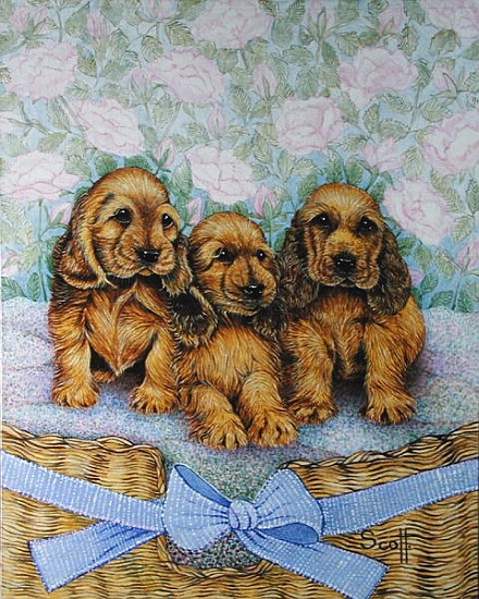 Brother Puppies (oil on canvas)  à Pat  Scott