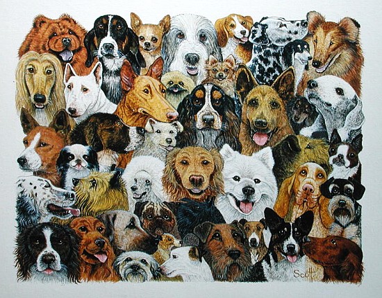 Dog Friends (oil on canvas)  à Pat  Scott