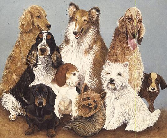 Dogs'' Dinner (oil on canvas)  à Pat  Scott