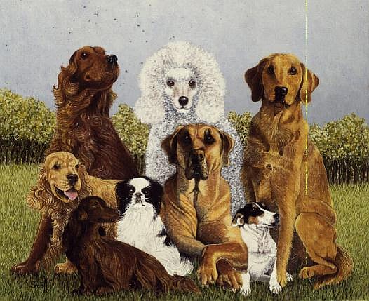 Oliver''s Dogs (oil on canvas)  à Pat  Scott