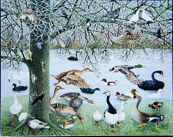 The Odd Duck (acrylic on canvas)  à Pat  Scott