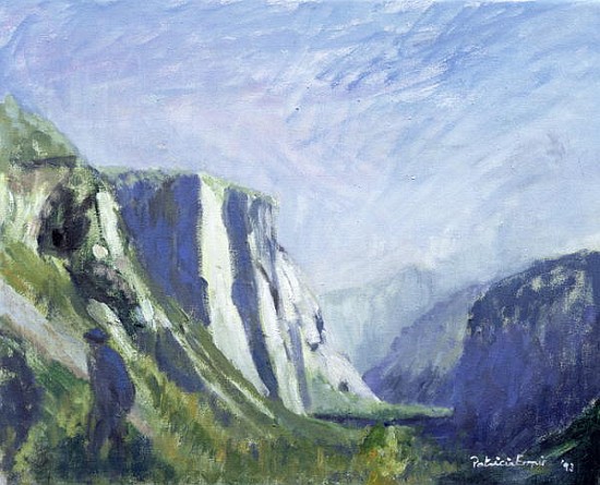 El Capitan, Yosemite National Park, 1993 (oil on canvas)  à Patricia  Espir