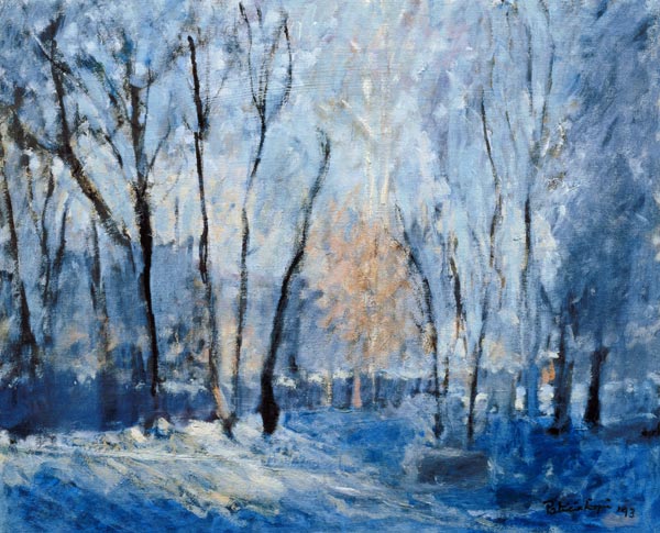 Snow in the Garden, 1993  à Patricia  Espir