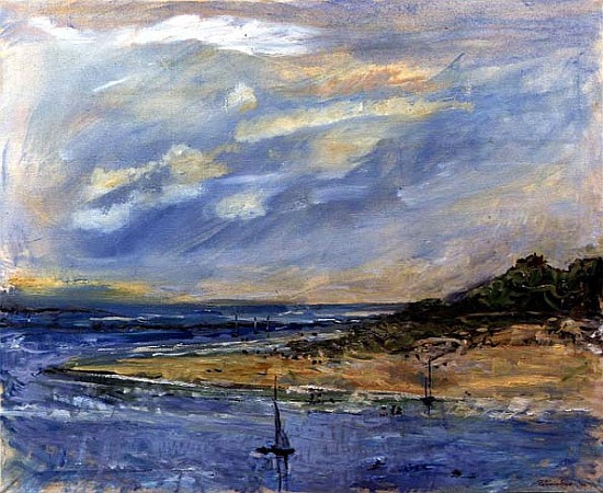 View from Tresco, 1997 (oil on canvas)  à Patricia  Espir