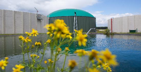 Biogasanlage in Turnow à Patrick Pleul