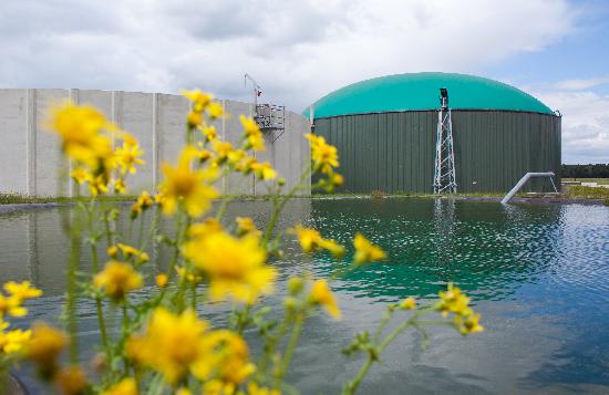 Biogasanlage in Turnow à Patrick Pleul