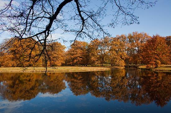 Branitzer Park im Herbst à Patrick Pleul